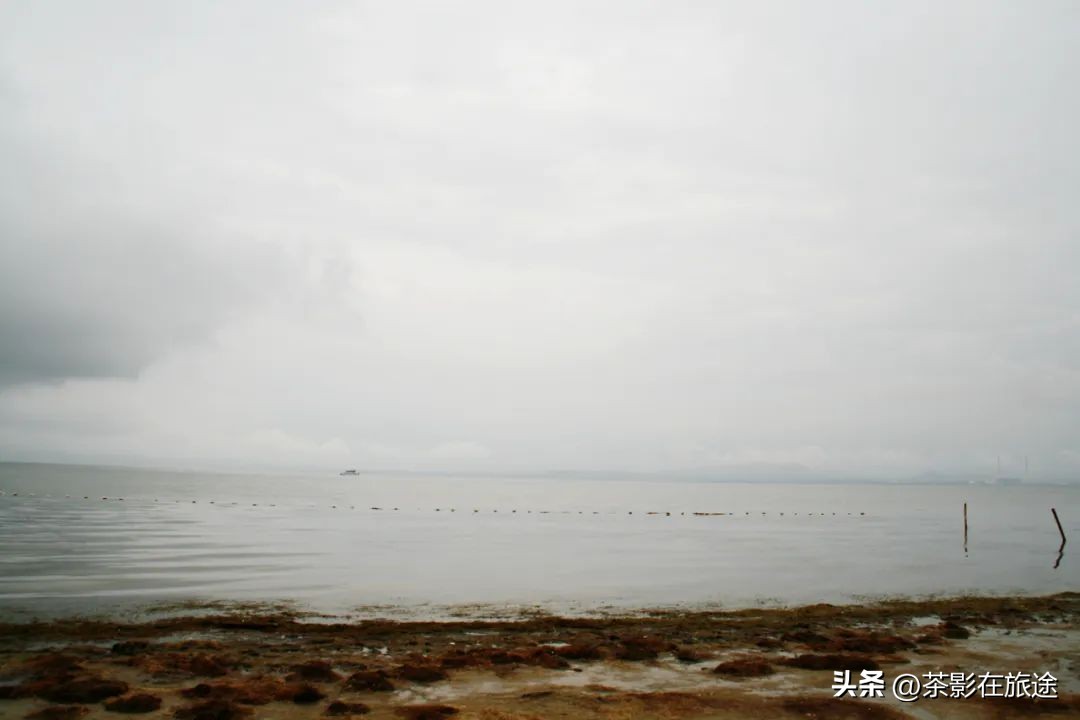 閫涢鍑鸿嚜鍝噷,閫涢