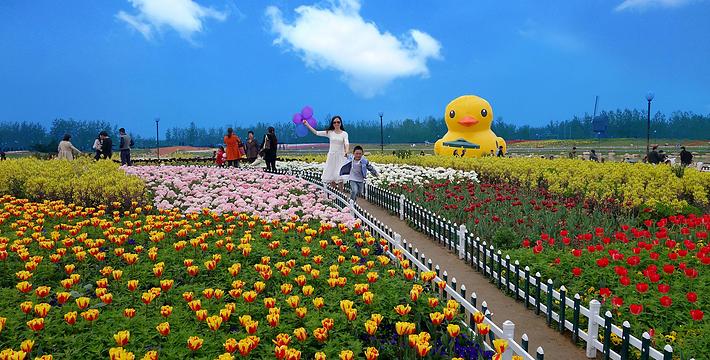 荷兰收入多少正常,荷兰为什么工资高物价低