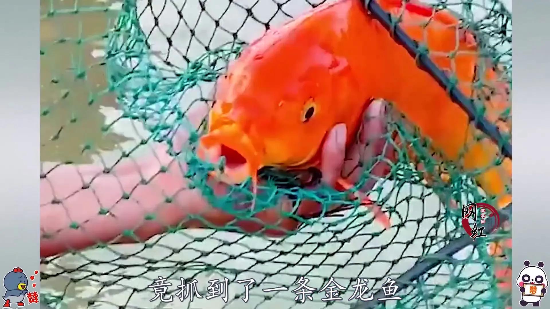 一个视频赚10万，年赚600万，抖音抓鱼“大表哥”的成名之路