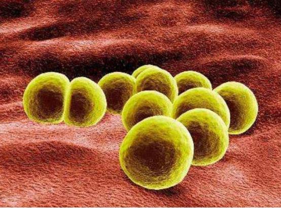 男生袜子纯棉防脚臭长筒秋冬季,秋冬季脚臭快速除臭