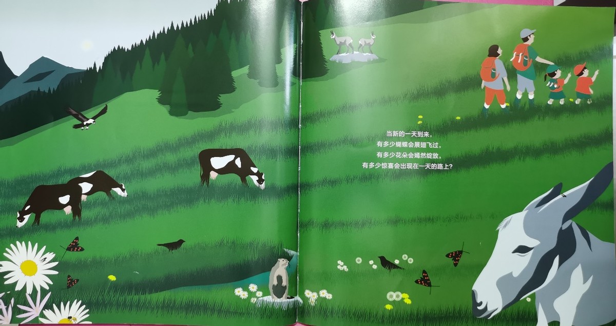 绘本和我一起数星星,儿童绘本推荐3-6岁星星主题