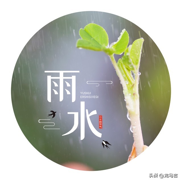 雨水时节，春雨犹添新绿，13首古诗词写意春色乍现之美