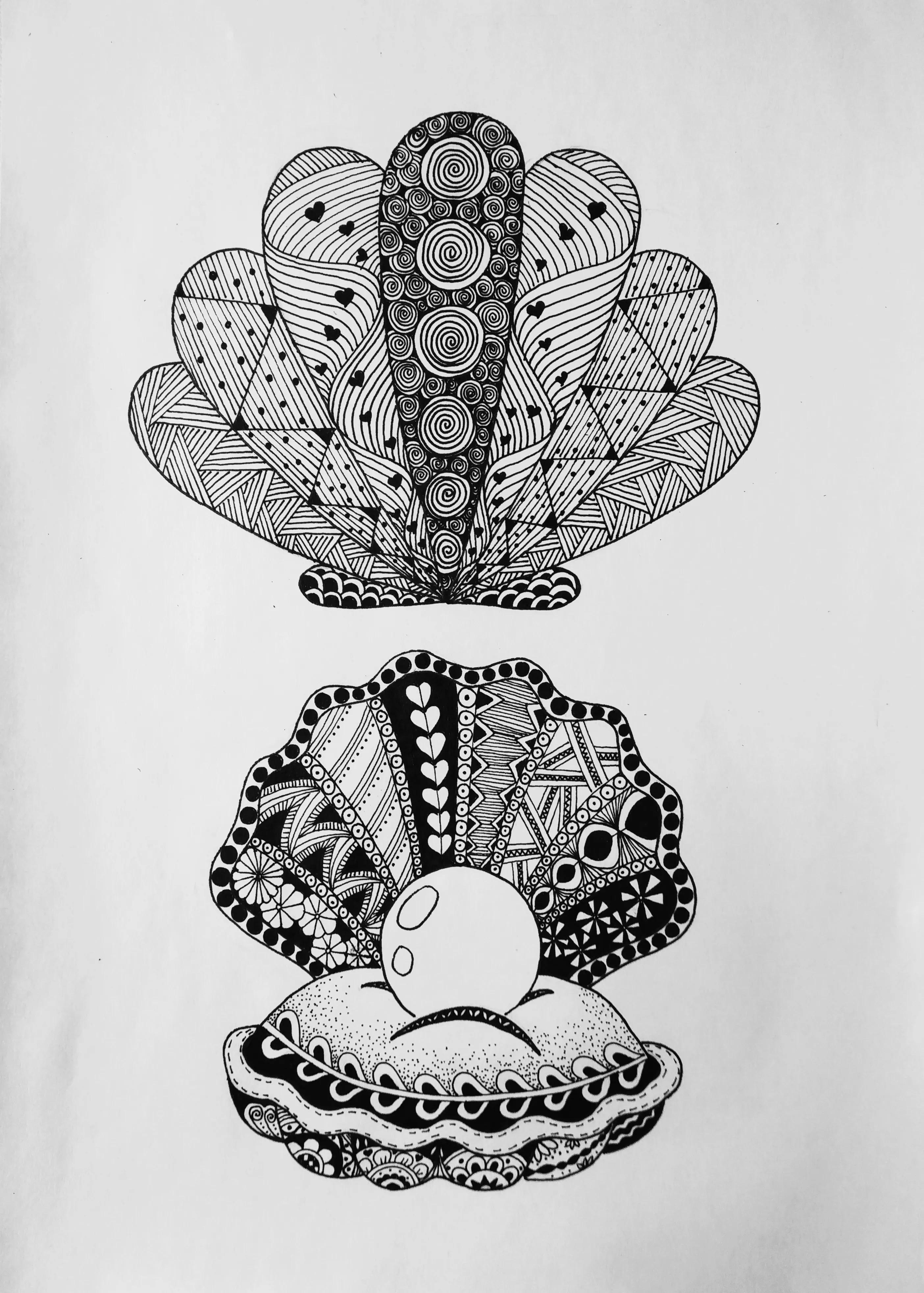 在扇贝上怎么画简单又漂亮,儿童线描画扇贝