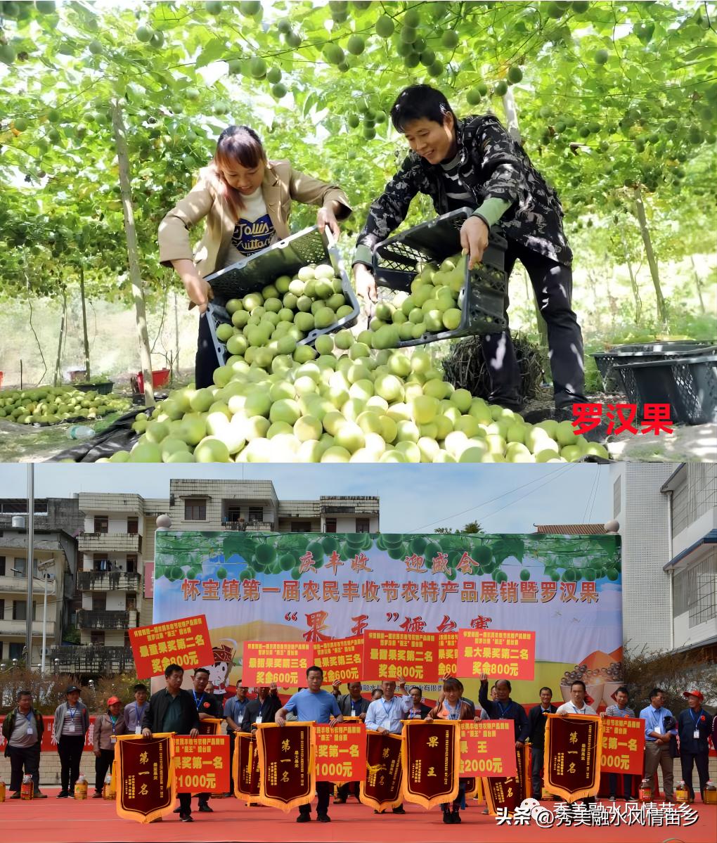 【2022年工作亮点展示】乡镇系列第一组：融水、永乐、和睦、四荣、香粉、怀宝、三防、汪洞、同练、滚贝