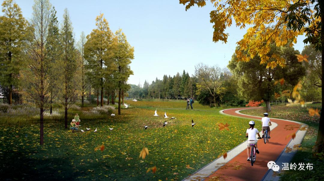 温岭体育公园最新进展,温岭刚建的体育公园