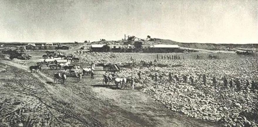 戴比尔斯为什么放弃培育钻石,戴比尔斯宣传钻石的手段