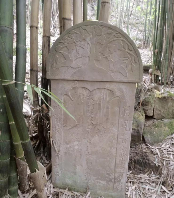 坟前长竹意味着什么预兆,为什么坟前长竹需迁坟