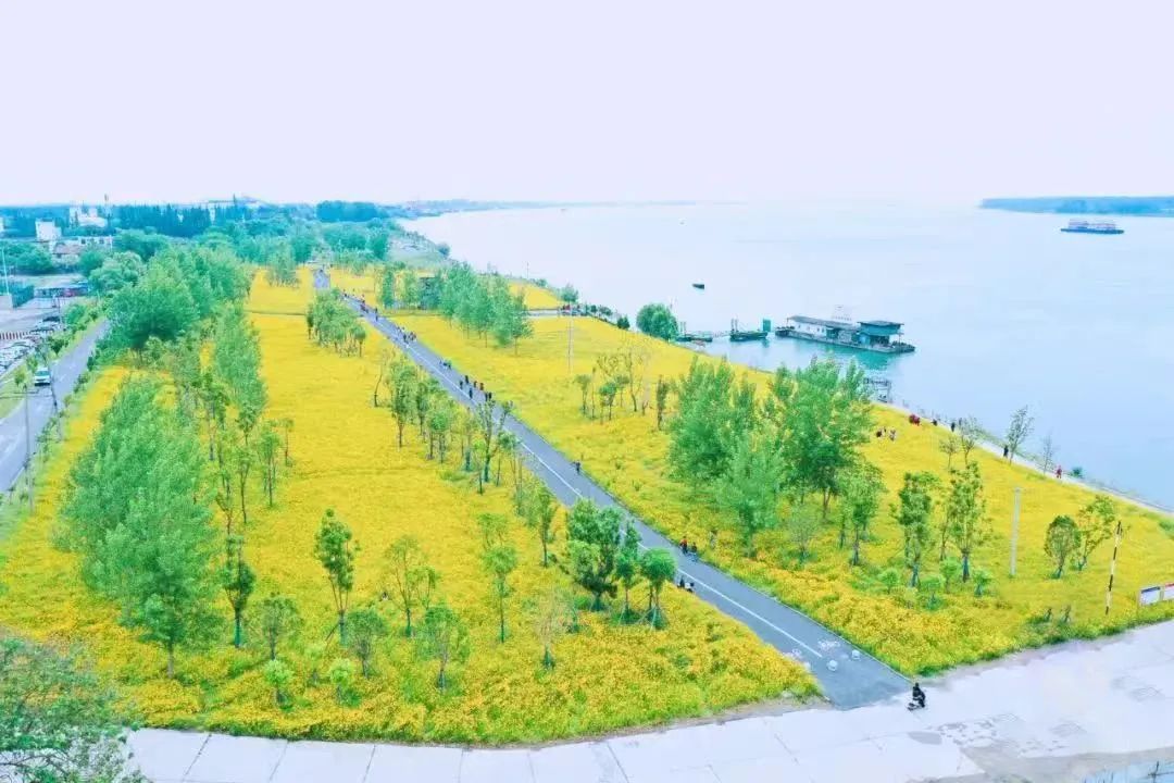 政策独宠房地产，楼市板块内卷袭来，你怎么选？