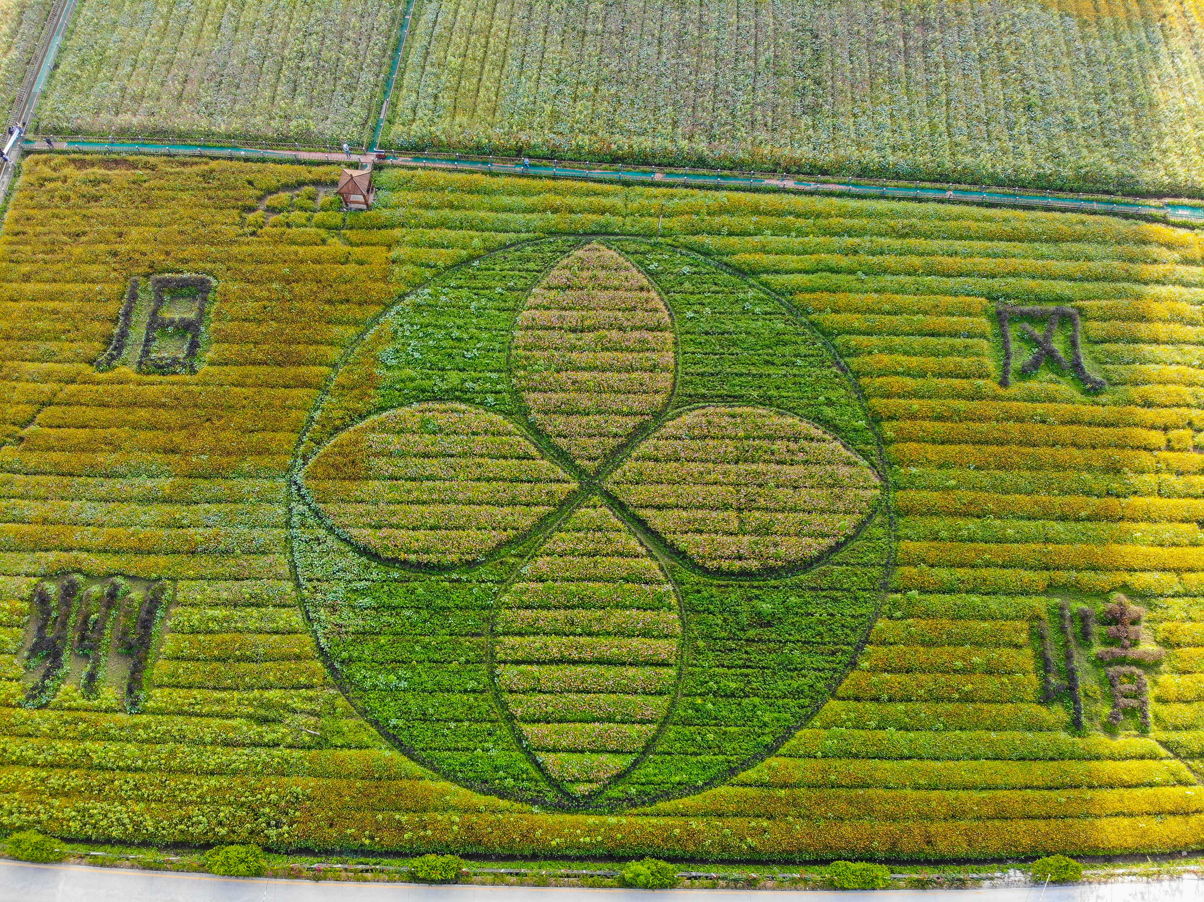 广西最美的旅游小镇,广西春天赏花