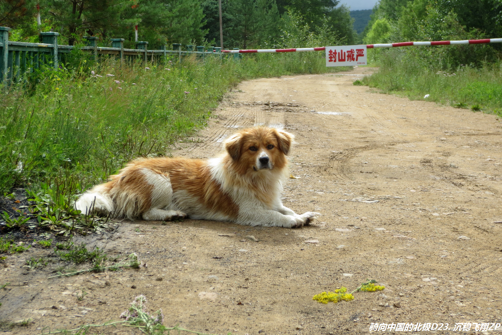 骑向中国的北极-D23从金河到满归镇