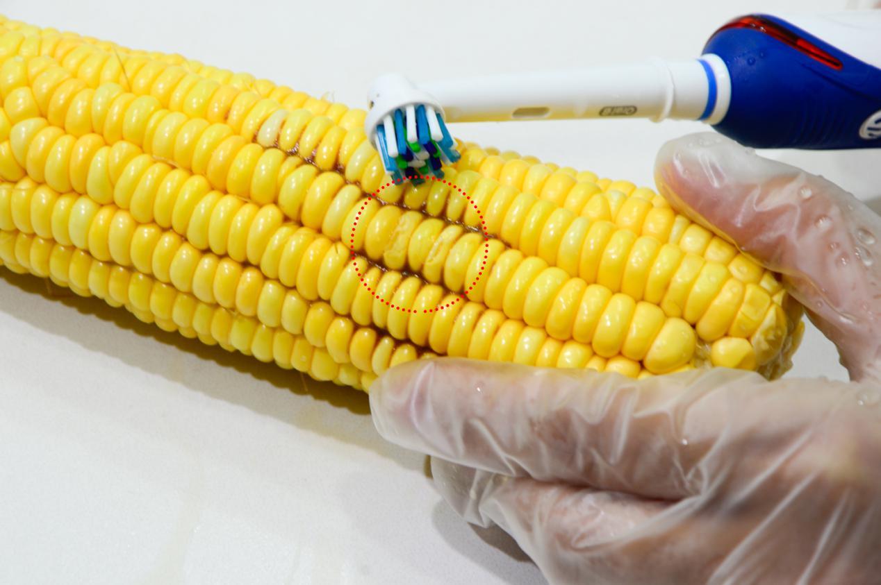 超高性价比电动牙刷推荐!n款热门电动牙刷专业实测,拒绝盲推