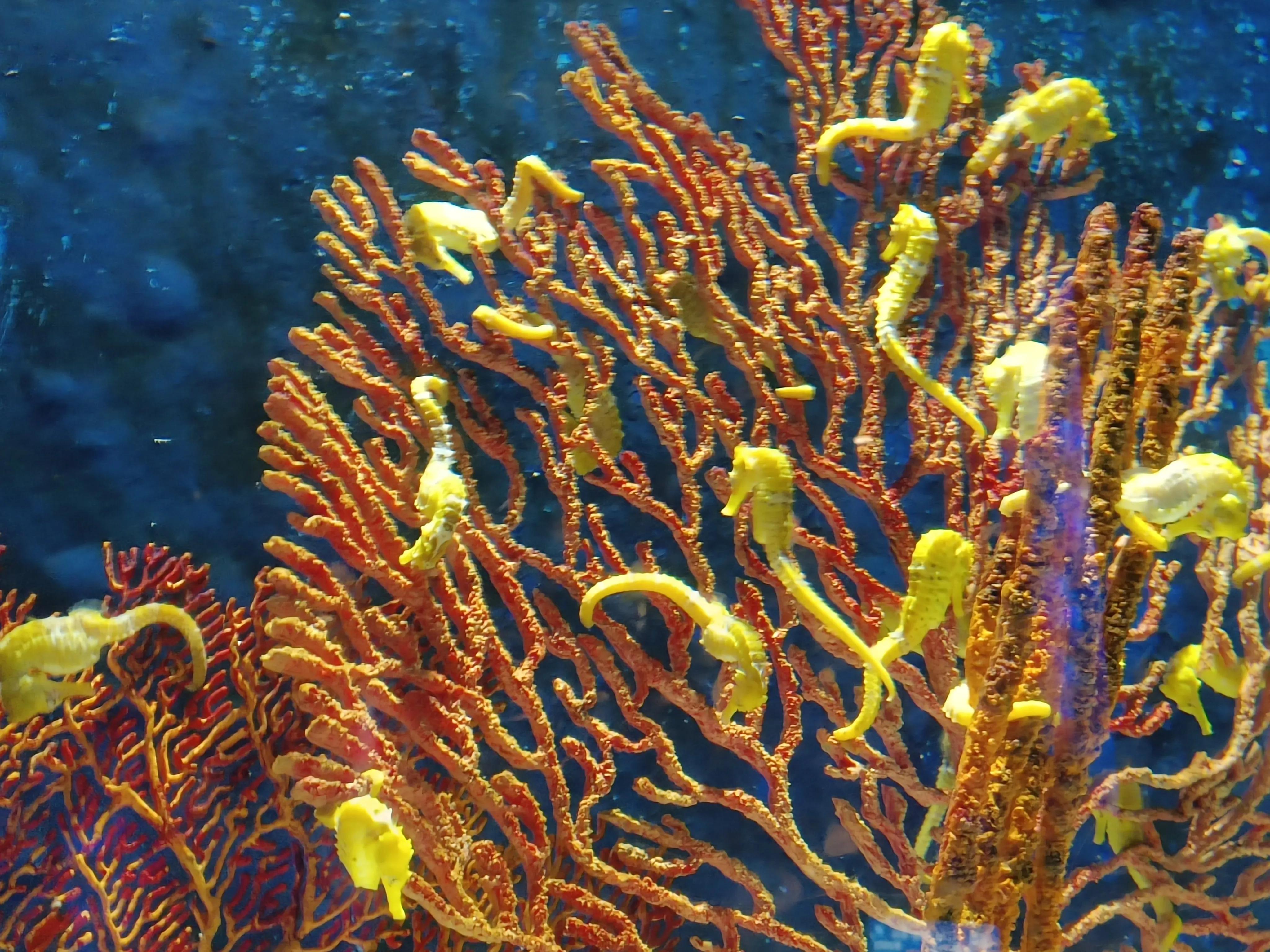 自驾珠海长隆三天两晚,来回700公里只为了学习更多的知识