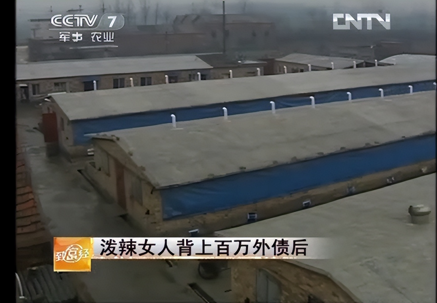 娌冲崡鍏荤尓澶у,娌冲崡澶у鍏荤尓