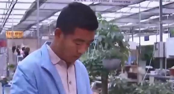 河北大叔遇天降横财，把各种水果种在花盆里，最贵一盆卖到几万元