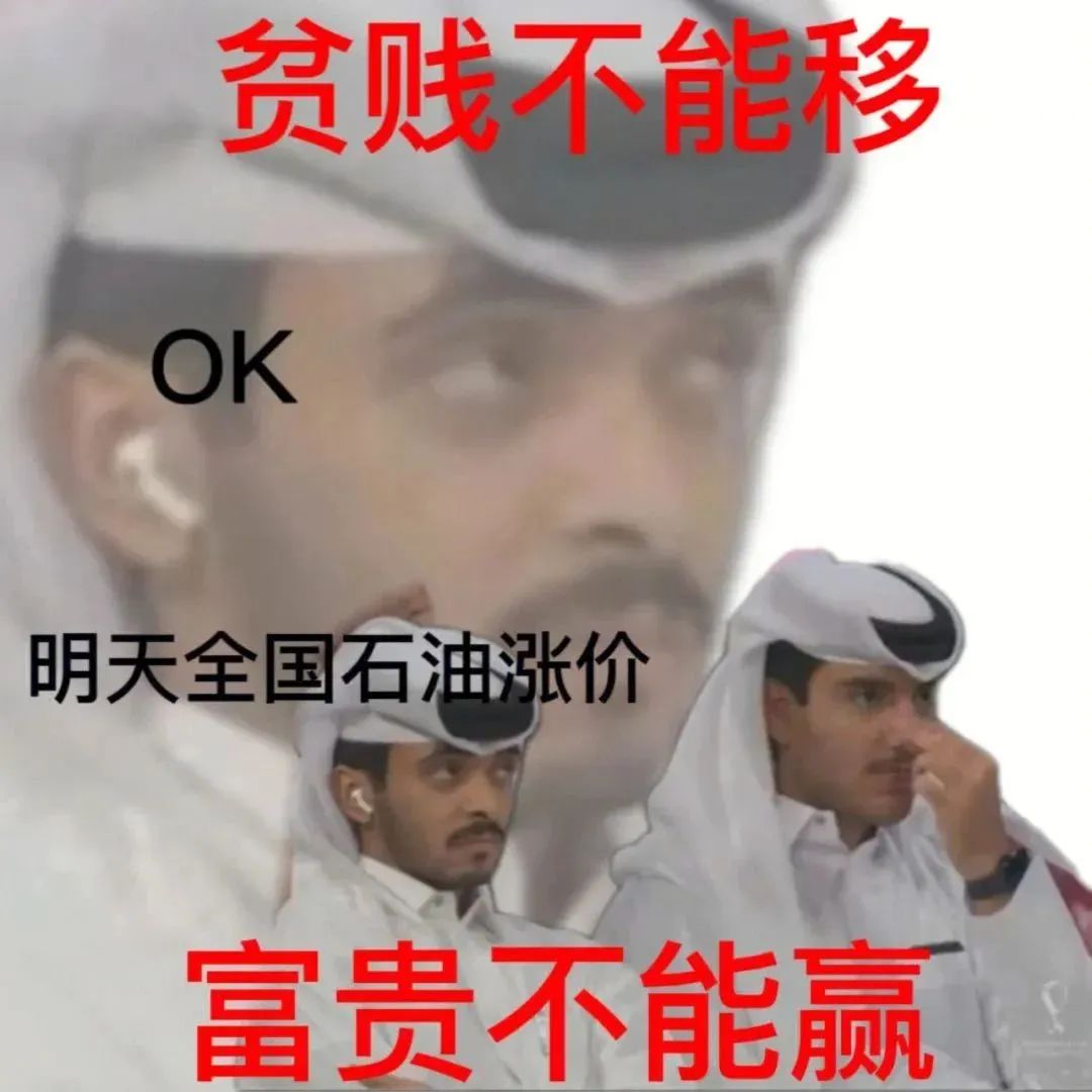 卡塔尔15岁小王子表情包,卡塔尔小王子气出表情包原视频