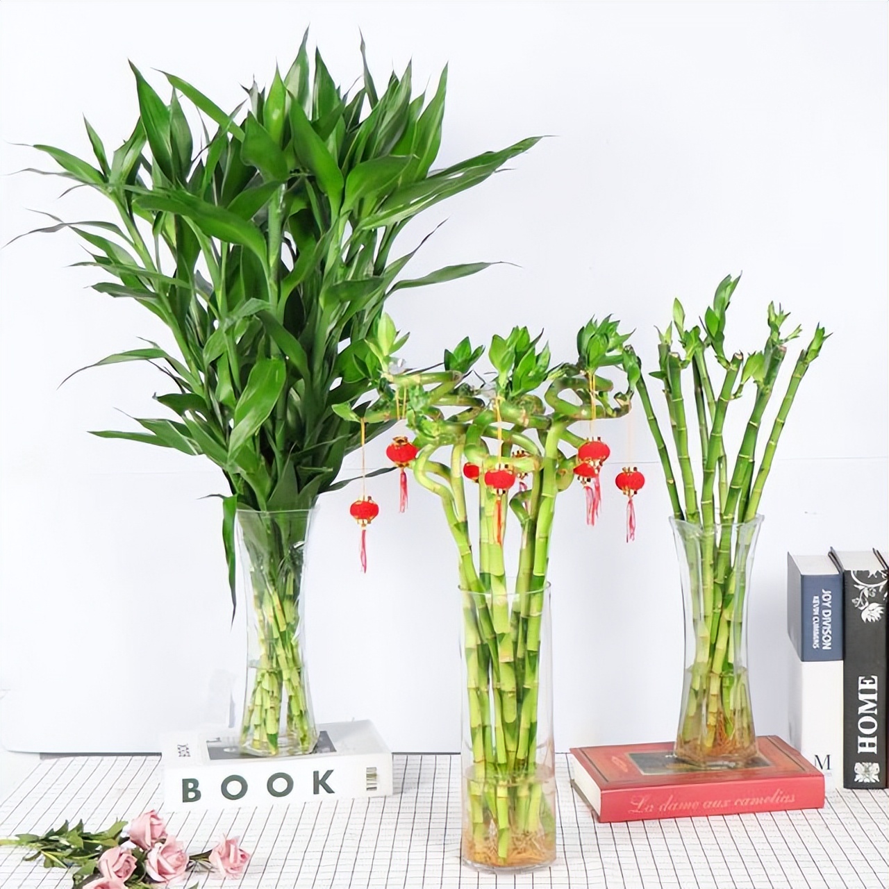 办公室水培富贵竹一般养几根最好,水培富贵竹养几根才最好吉利