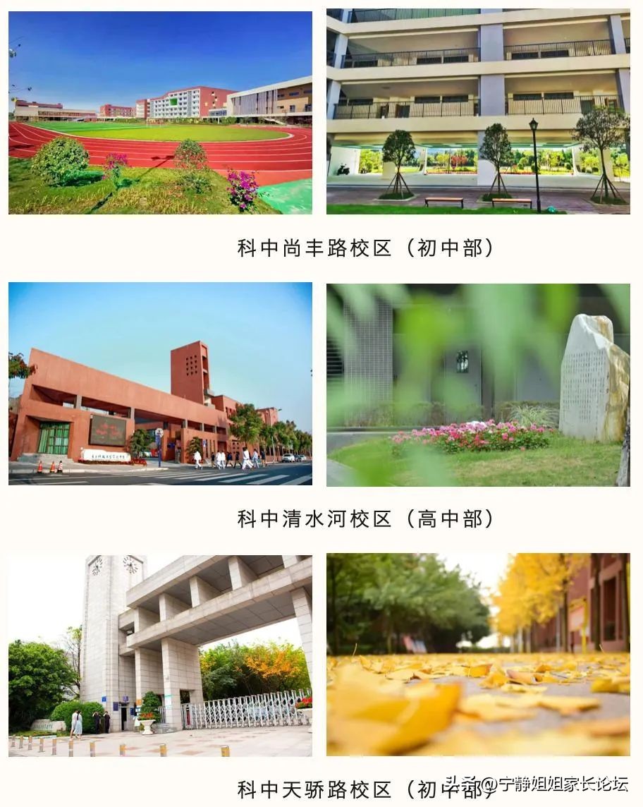 家长信赖的素质教育学校有哪些,高新区排名前十中学