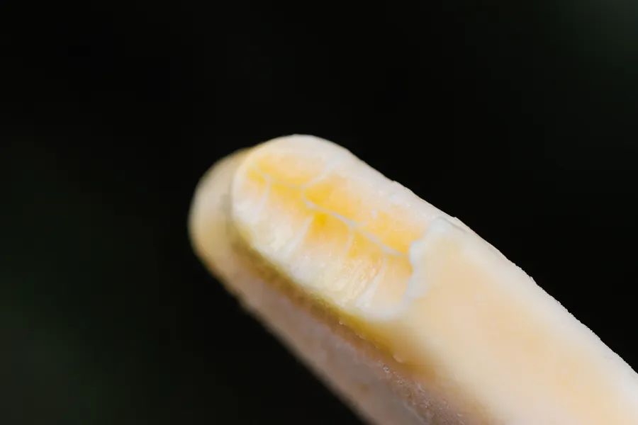 今夏这18根雪糕刺客，扎得我痛彻心扉