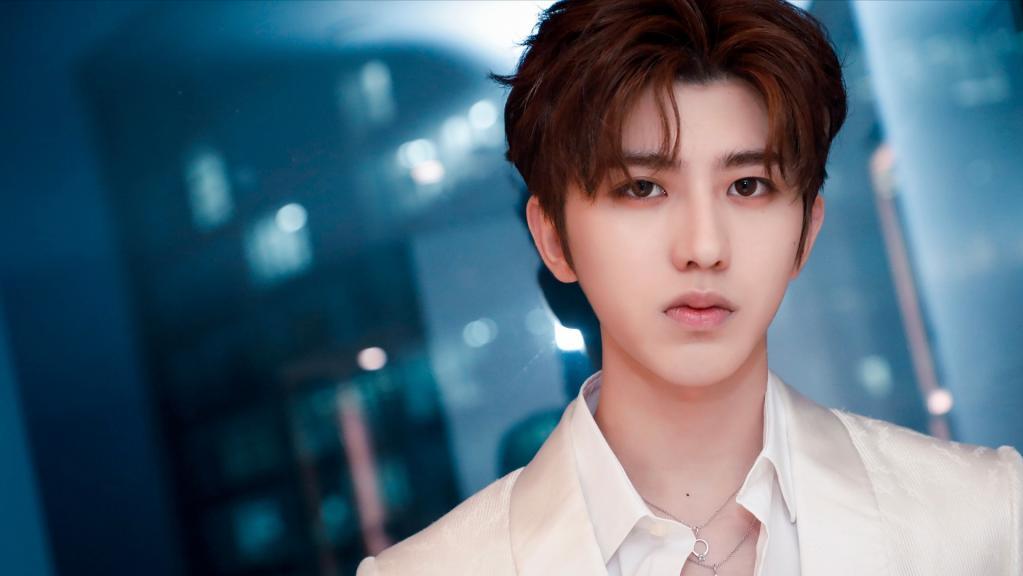 全国最帅气的十大男明星,中国十大最帅气的男明星