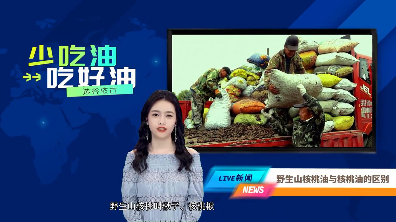 野生山核桃油气味刺鼻吗,野生山核桃油