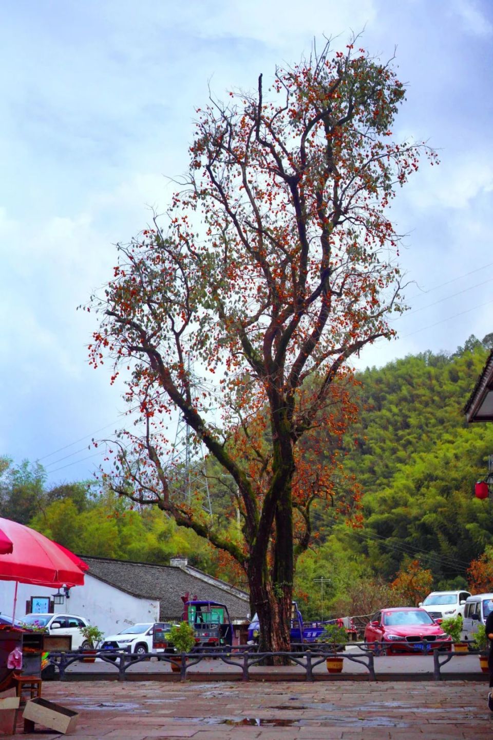 9月哪个地方适合旅居,三月旅居城市推荐