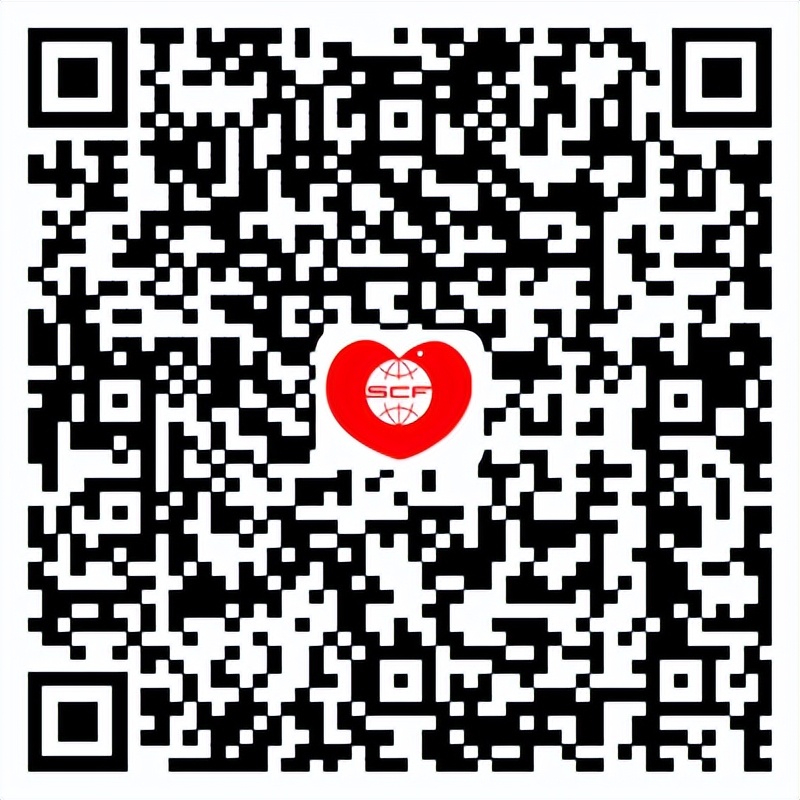 水灾爱心捐赠公益活动,2020年上海市慈善基金会捐款