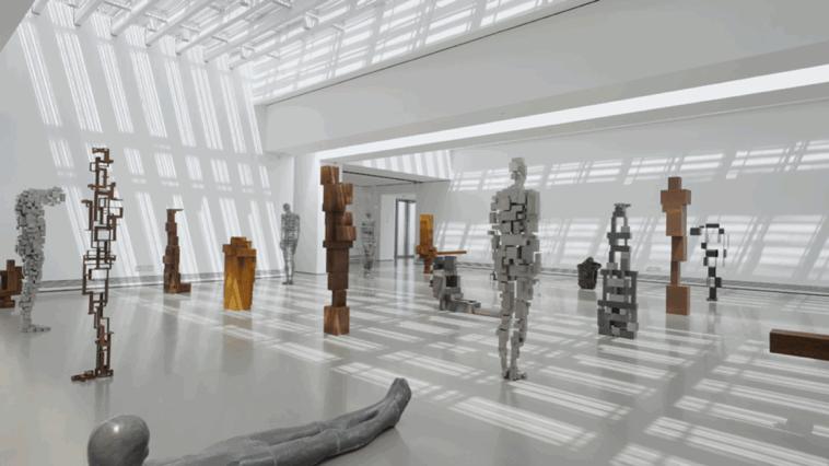 最高级的素质,顶级身体形态