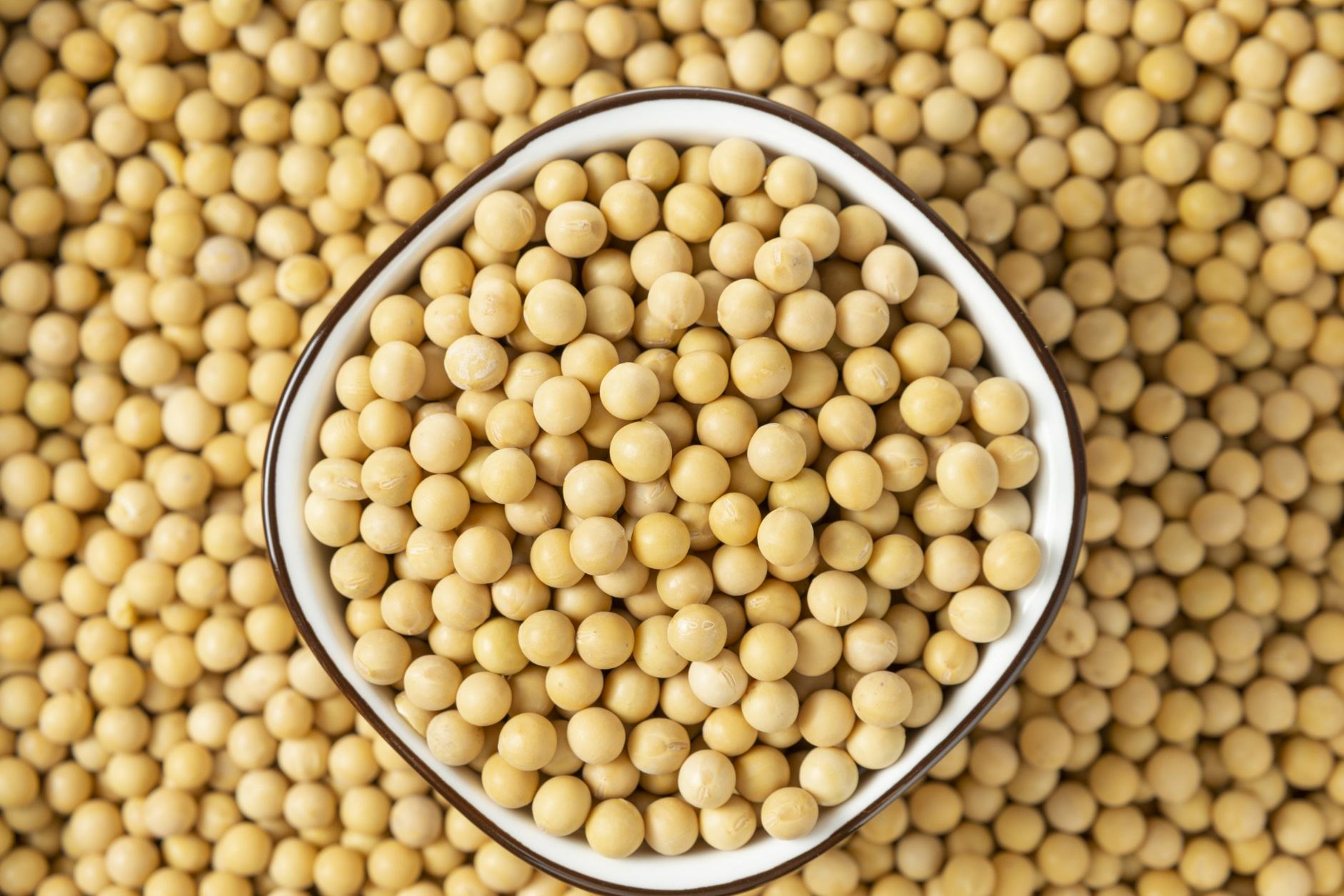 美国进口大豆多少钱一吨,今年我国进口美国大豆多少