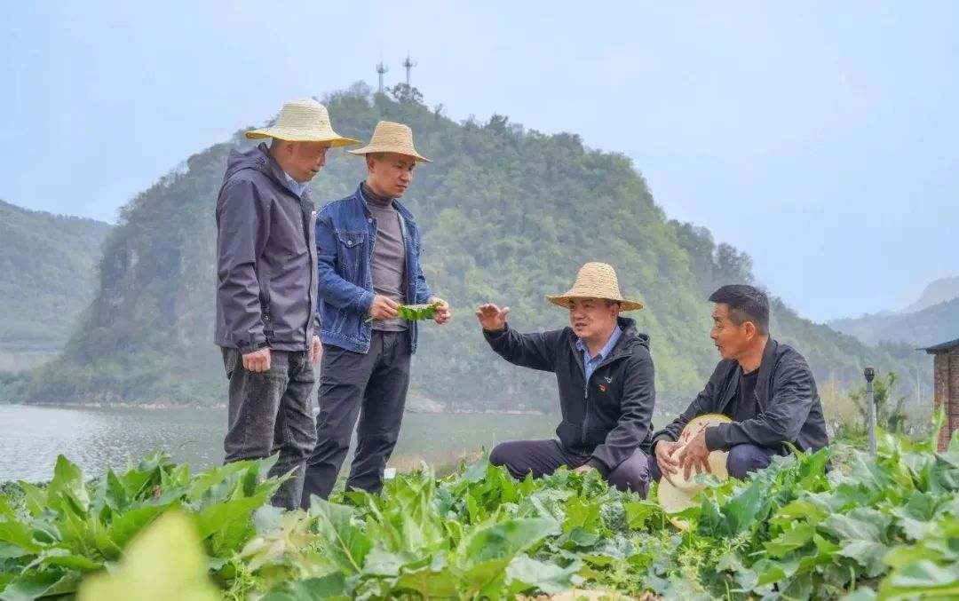 丁继华：第一书记要有“第一担当”