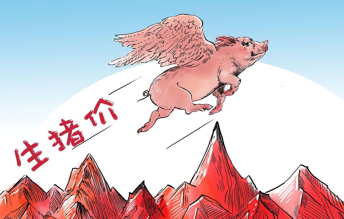 猪价回暖猪企能否走出低迷,猪企逆势扩张猪价还能上吗