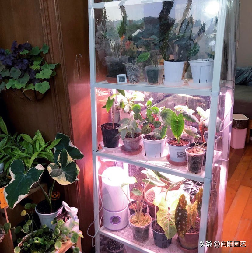 几十块的补光灯推荐,100元左右补光灯怎么选