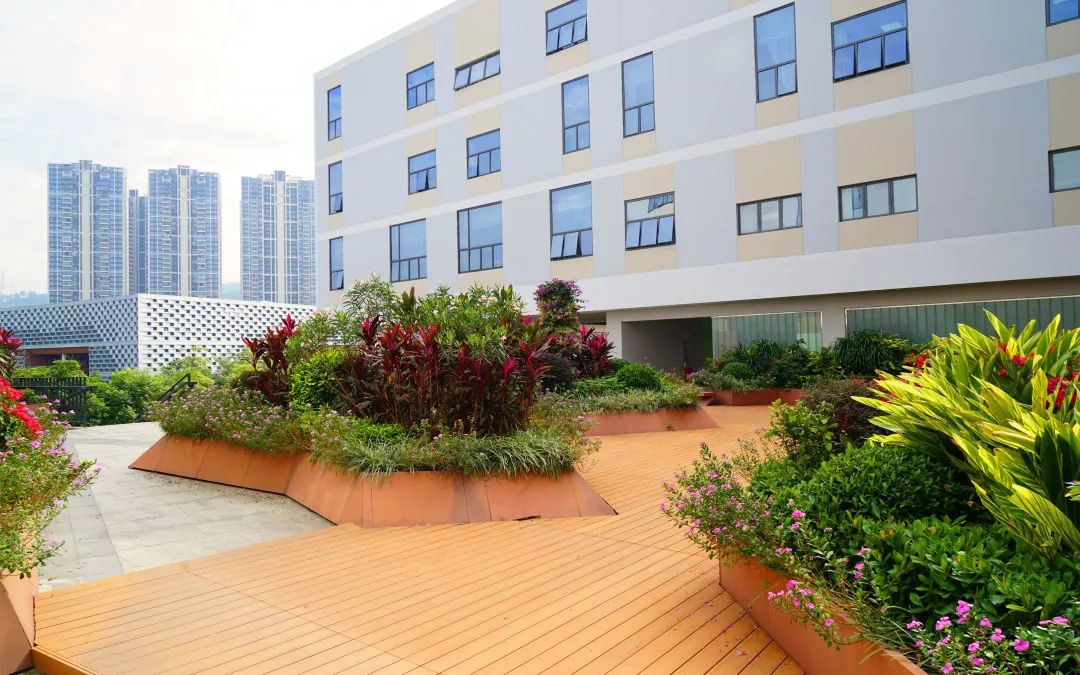 大学校园绿化设计,现代校园绿化规划设计