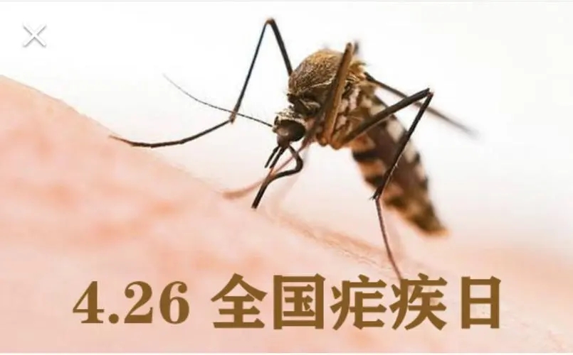 千里跃进大别山纪念馆,千里跃进大别山和中原突围