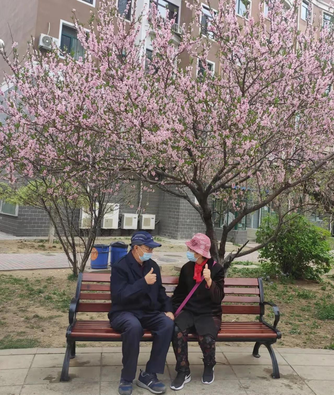 原创微型散文诗：乐与春天合影爱与快乐同行