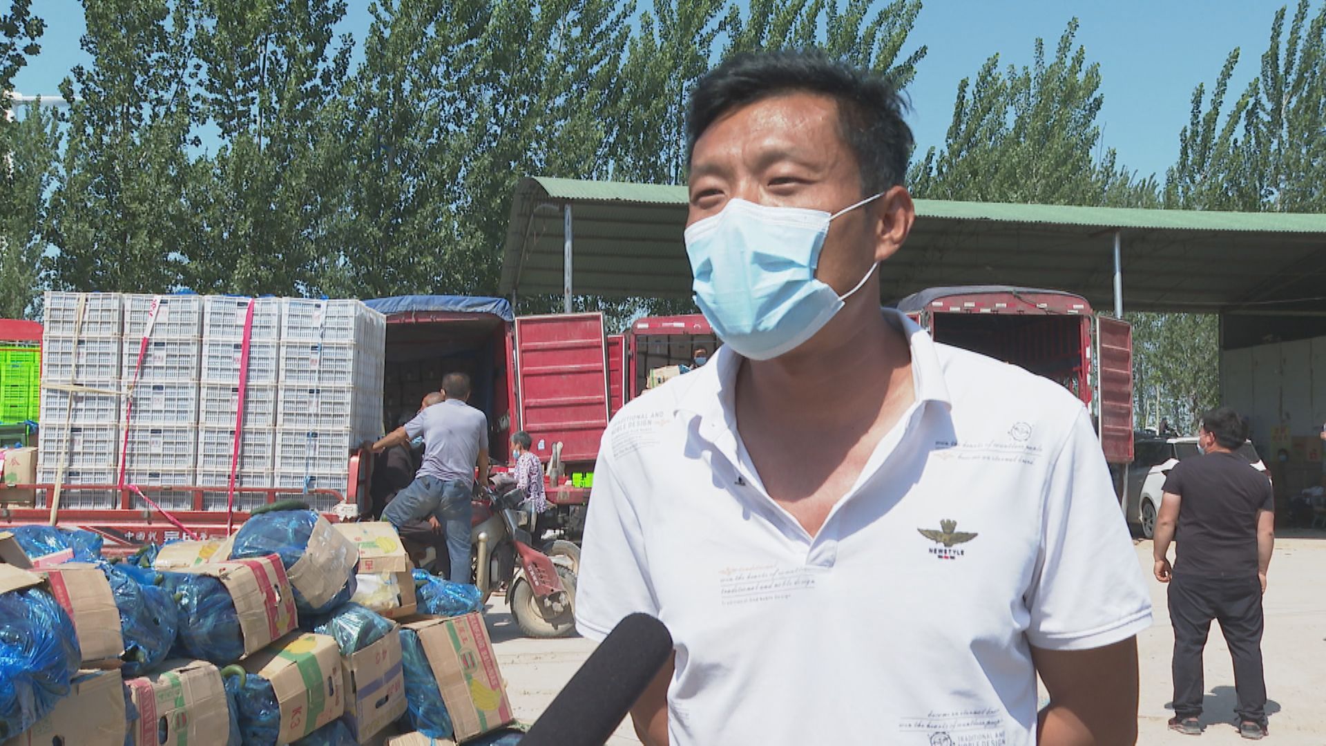 扶沟县12万亩蔬菜基地,扶沟万亩果蔬基地在哪里