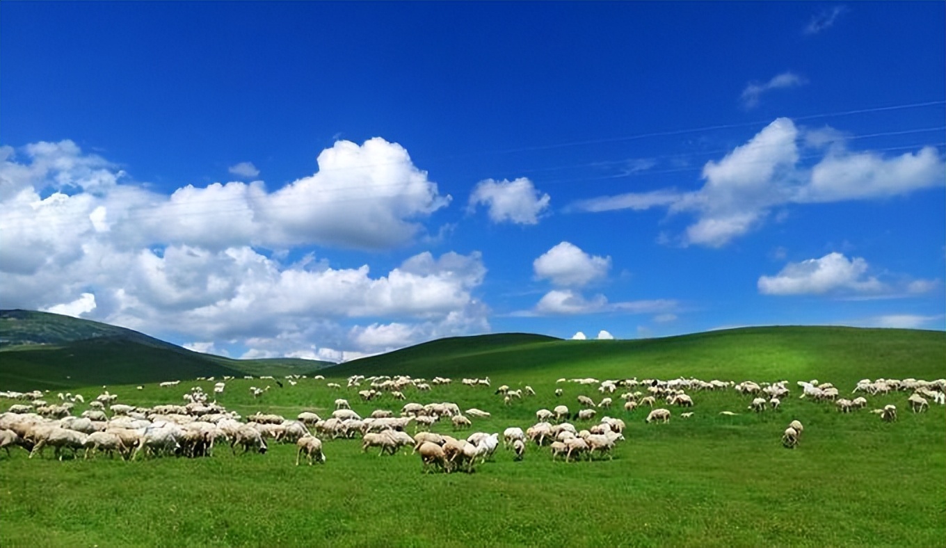 祖国山河美如画名胜古迹遍天下,有哪些描述祖国大好山河的诗词