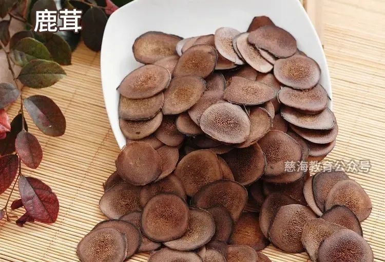 每天学习一味中药教学,中药鹿茸煎煮方法