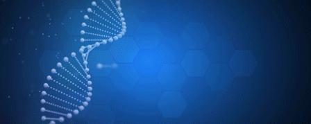 昌平招商推介,北京昌平招商引资项目