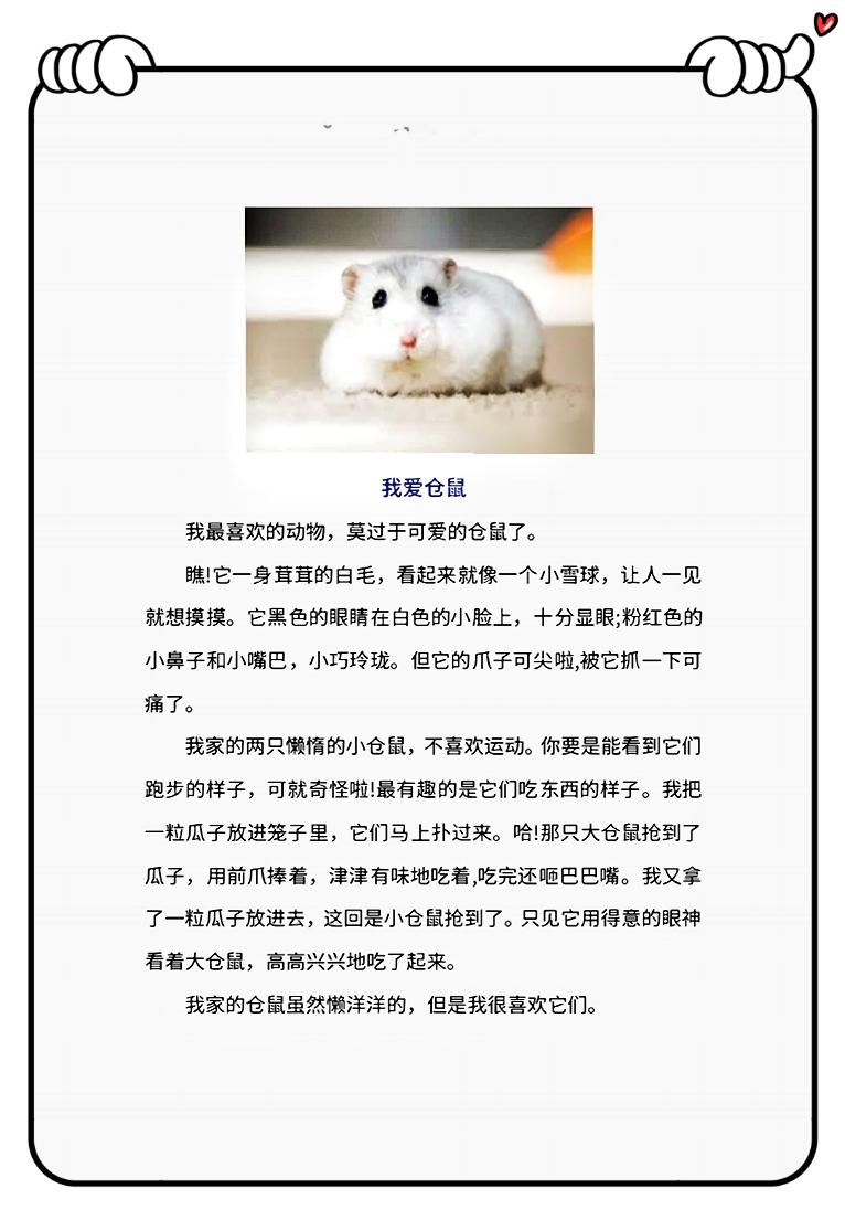 二年级下册我想养一只小动物作文,二年级语文我最喜欢的小动物写话