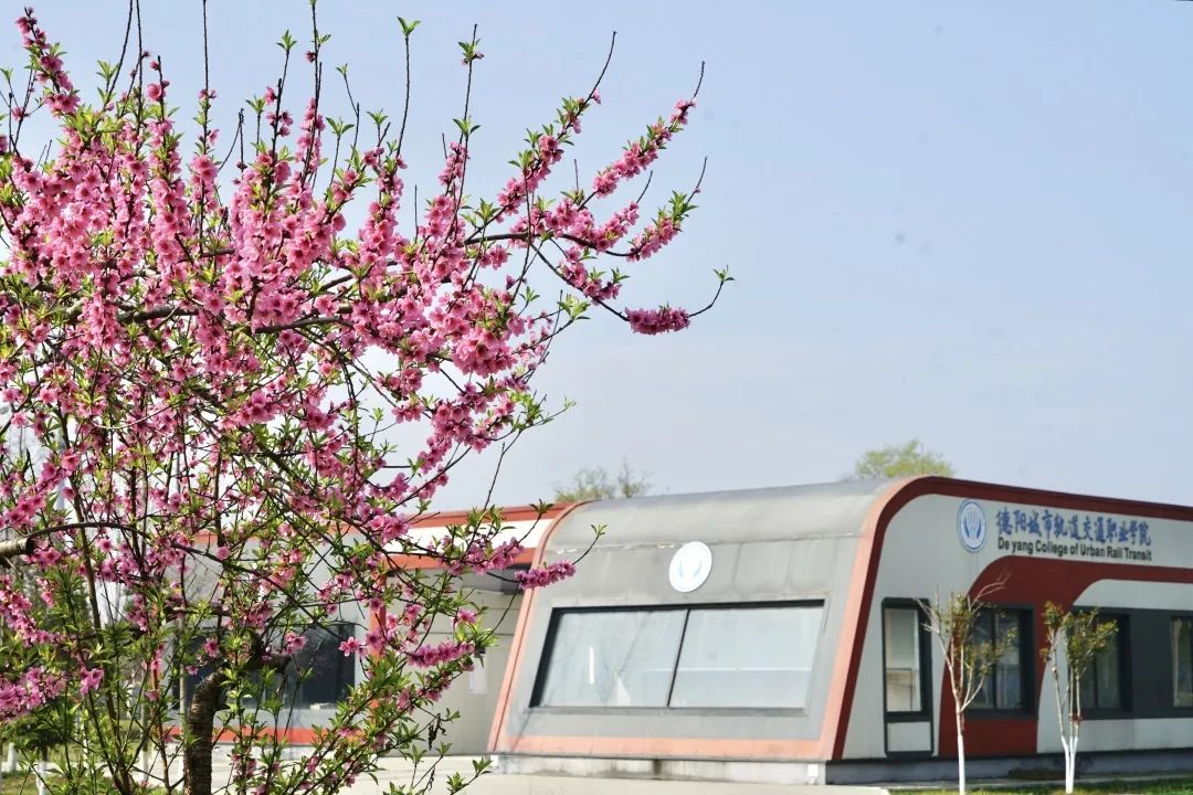 交通学院交通运输,交通运输部交通管理学院