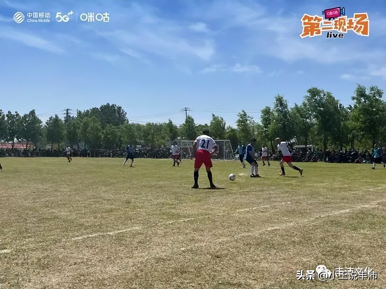 沛县足球赛精彩进球,沛县足球回放