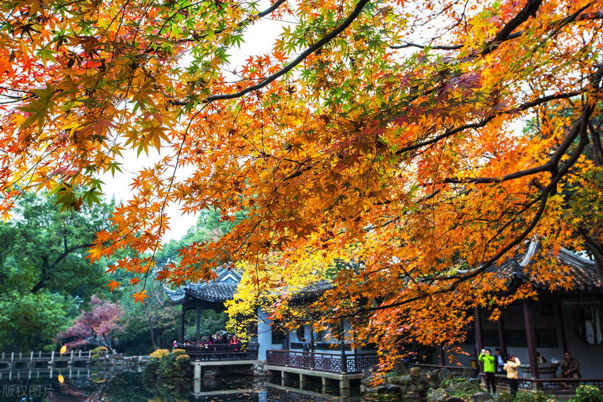 （小小说）真假“老板娘”