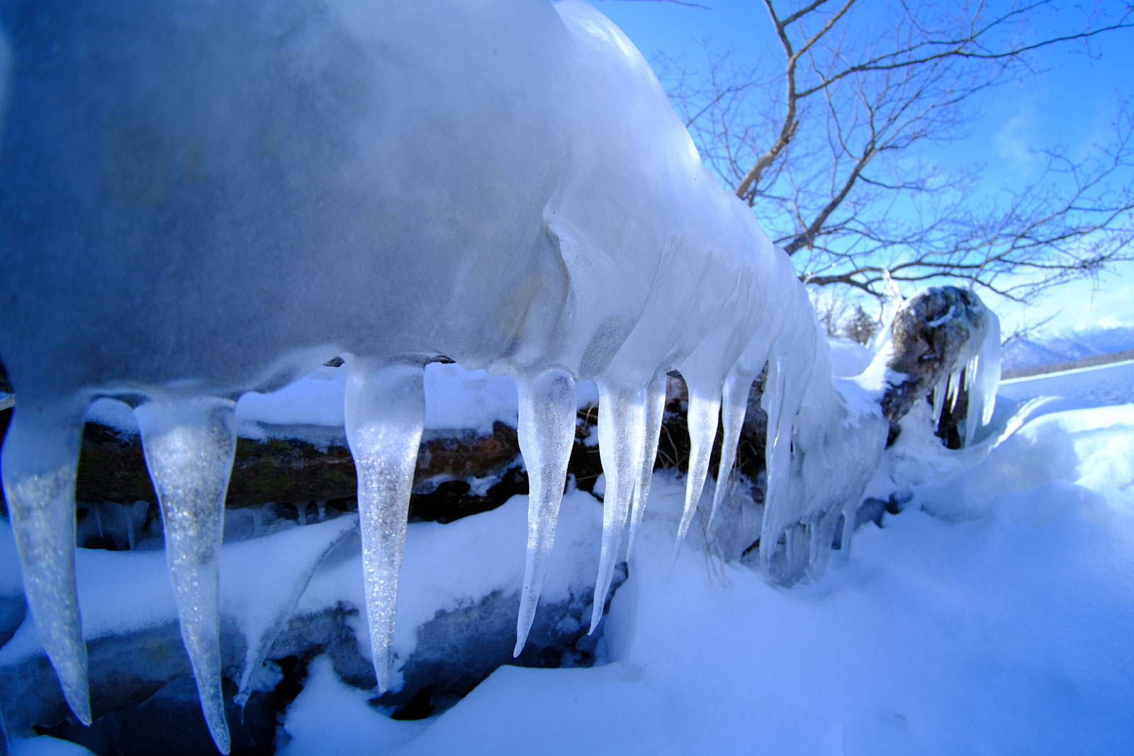 图丽鱼眼镜头,图丽24-40镜头画质好不好