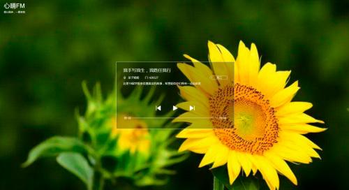 杭州铭师堂辅导老师,杭州铭师堂教育联系电话