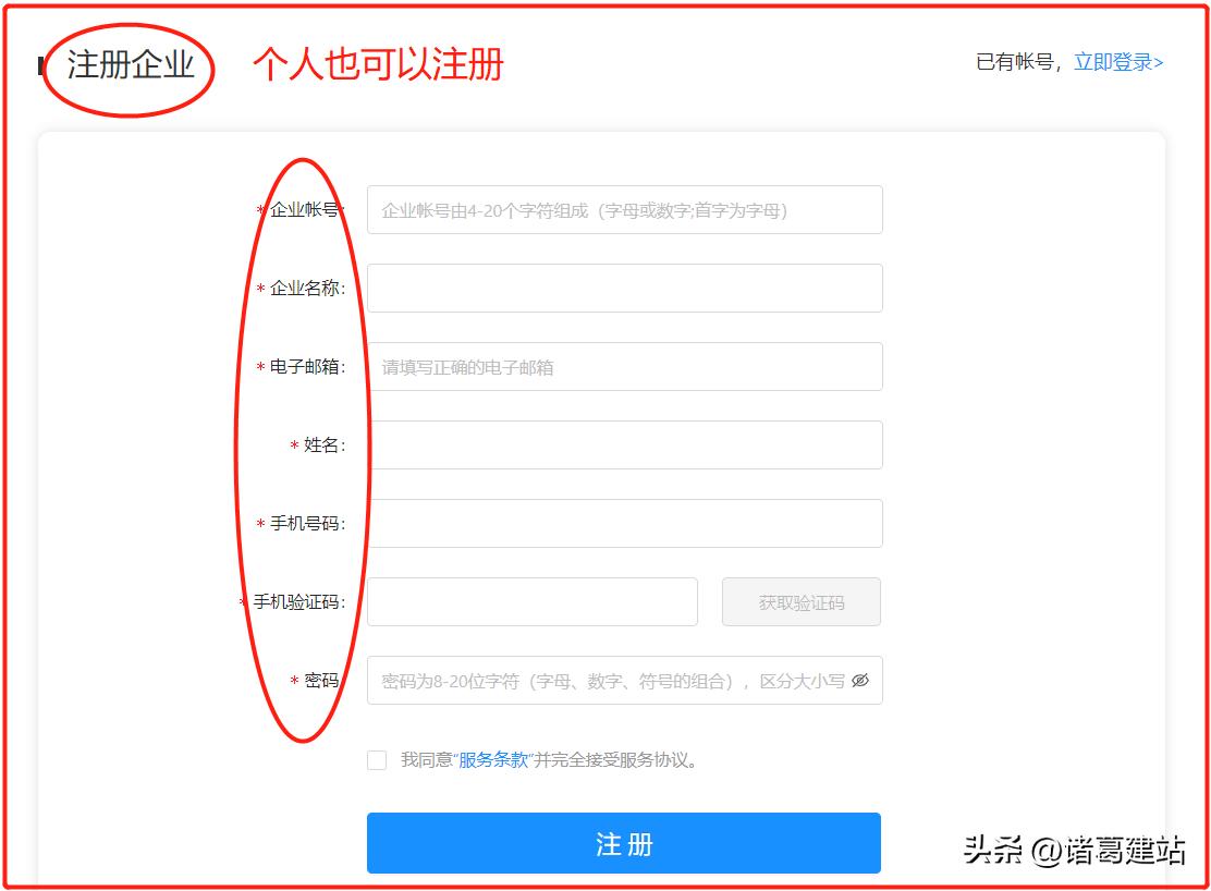 大型网站建设公司制作网站,网络营销网站建设网站运营