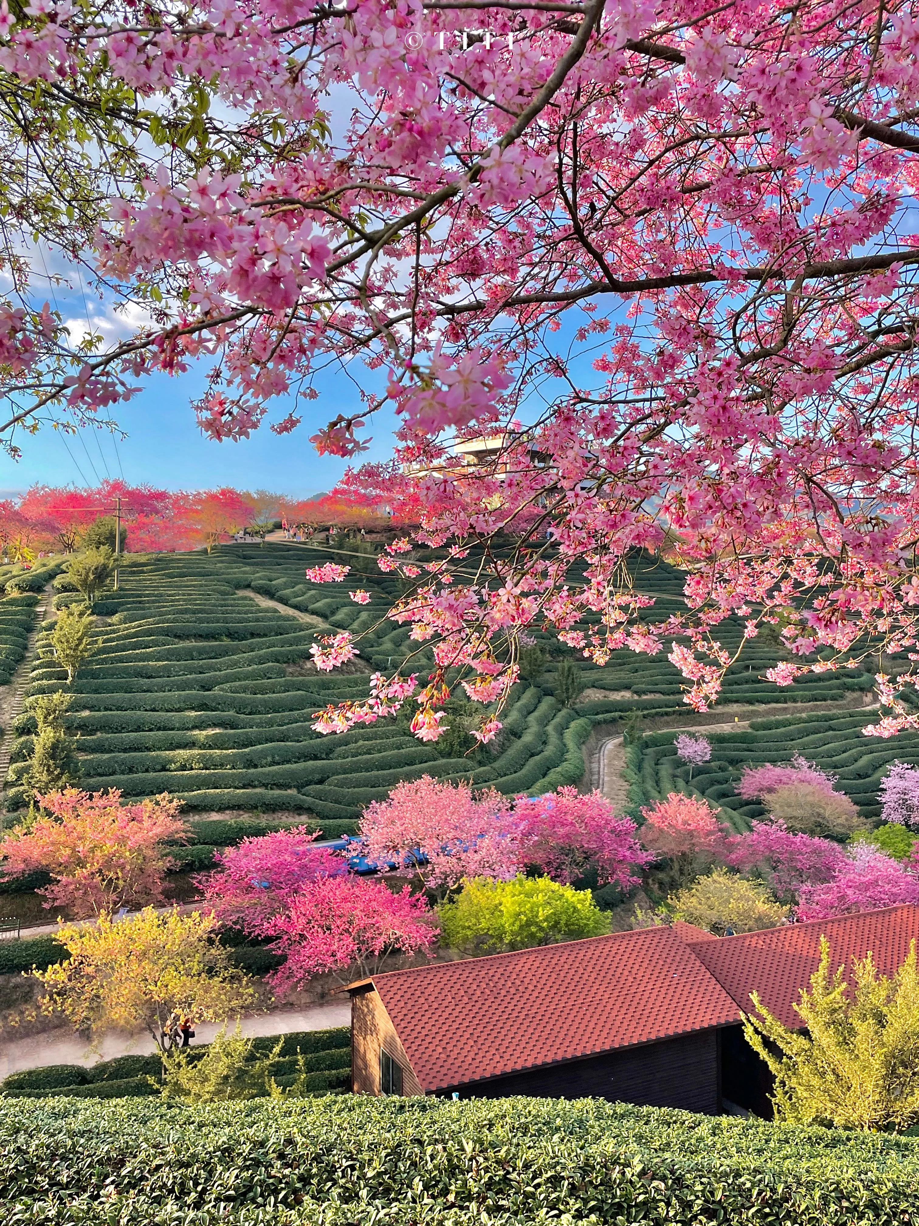 故事不长不难讲脸红相遇眼红收场,脸红相遇眼红散场故事不长也不难