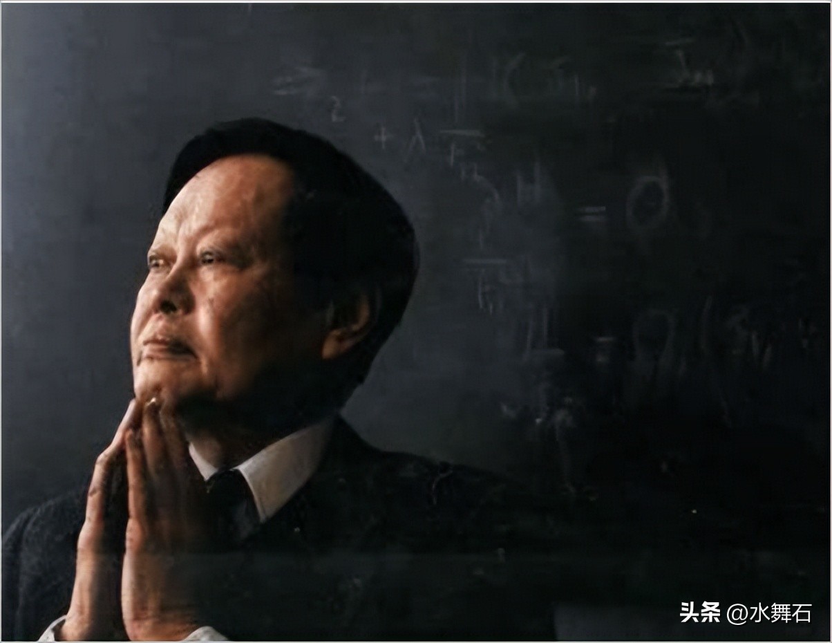 杨振宁四种力,杨振宁人格魅力