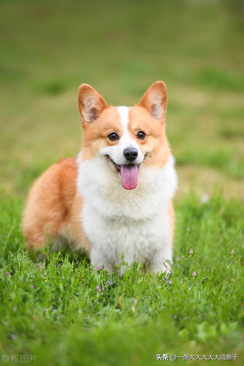 拼多多怎么提升店铺访客和流量,拼多多突然流量访客少了