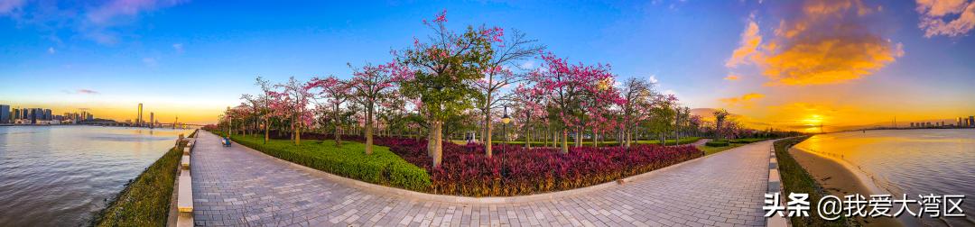 珠海春游赏花,珠海周边踏青景点