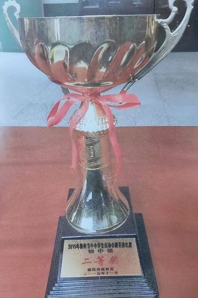 教育的使者——记衡阳市第十五中学刘智英老师